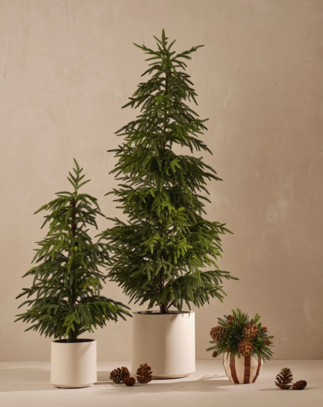 Floral Interiors Products Fragrance